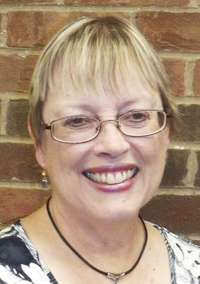 Berrien county local proposals and races